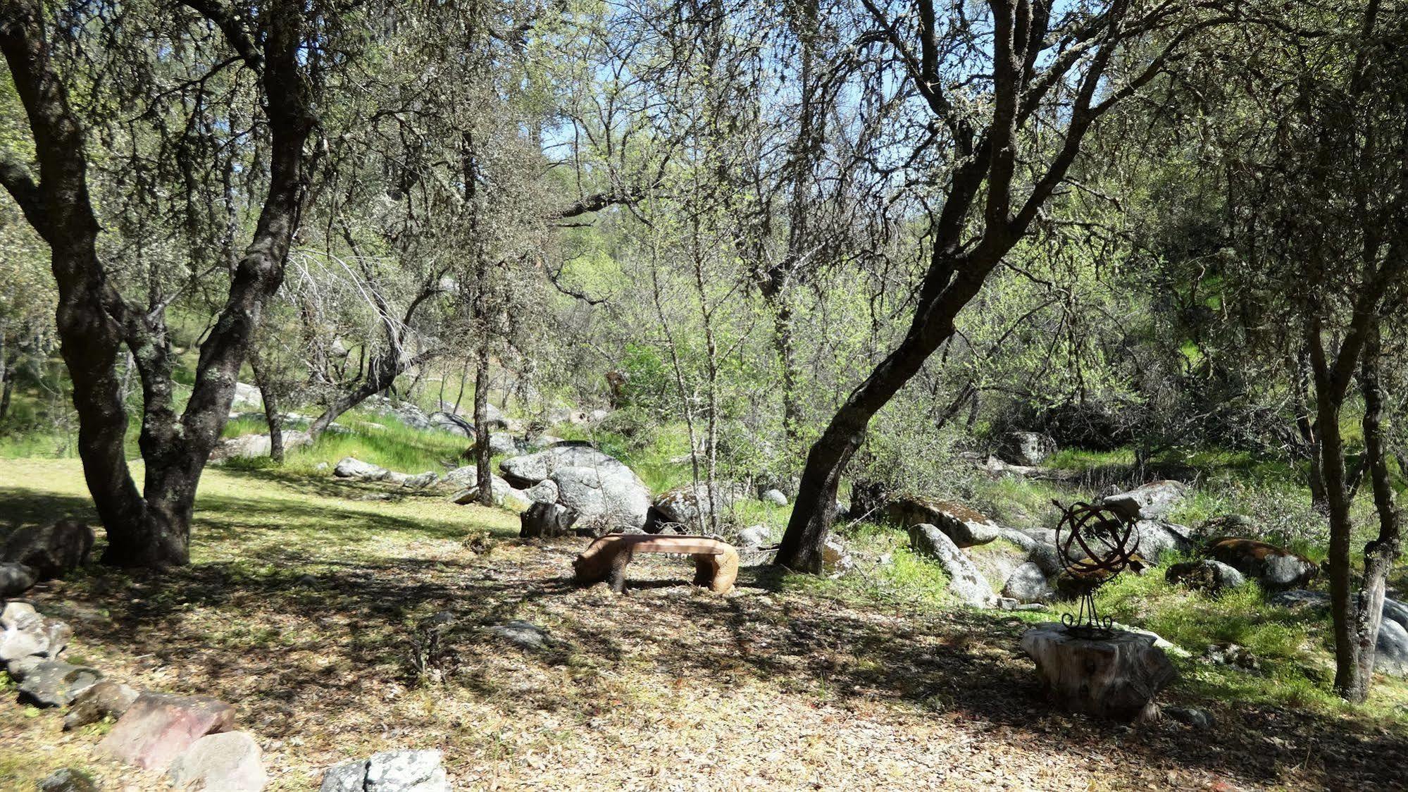 Little Valley Inn Mariposa Buitenkant foto